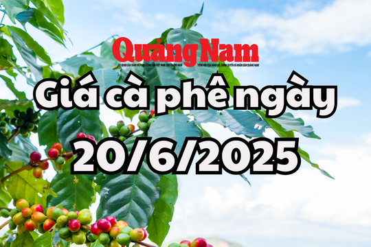 Giá cà phê hôm nay 20/6/2025 vẫn lạc quan sau đợt giảm mạnh