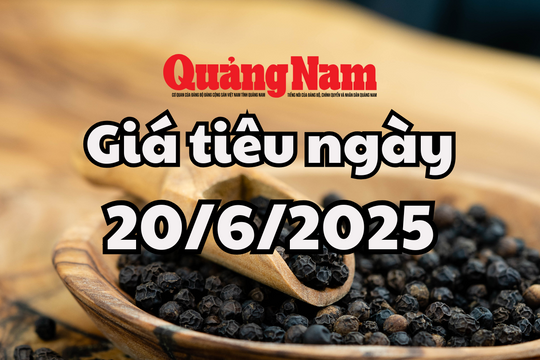 Giá tiêu hôm nay 20/6/2025 Đắk Lắk vẫn giữ đỉnh giá cao nhất khu vực