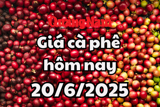 Cập nhật giá cà phê hôm nay 20/6/2025 mới nhất: Sắp về mốc 100.00 đồng/kg