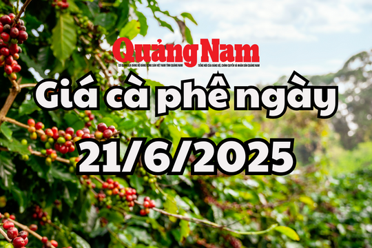 Giá cà phê hôm nay 21/6/2025 rớt chạm đáy 100.000 đồng/kg