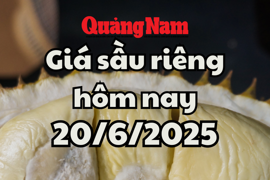 Giá sầu riêng hôm nay 20/6/2025: Sầu Thái tăng nhẹ ở Đông Nam Bộ