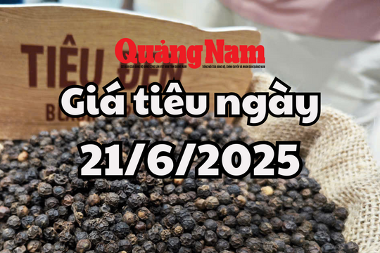 Giá tiêu hôm nay 21/6/2025 Đắk Lắk không còn giữ mức giá cao nhất