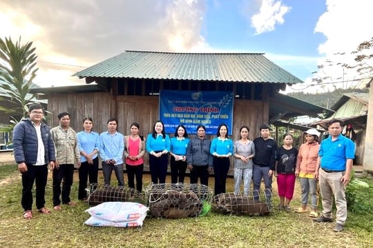 Phụ nữ Quảng Nam quản lý 1.311 tổ vay vốn với dư nợ đạt 3.777 tỷ đồng