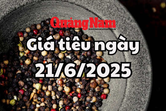Tin tức, dự báo giá tiêu ngày mai 21/6/2025 đà giảm tạm thời ngừng lại