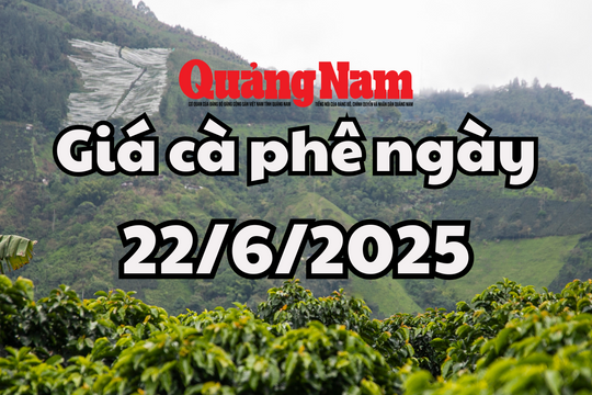 Giá cà phê hôm nay 22/6/2025 ổn định ở mức 95,500 đến 96,000 đồng/kg