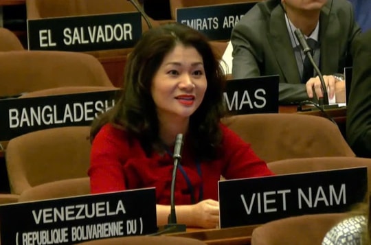Viet Nam elected to UNESCO culture diversity committee for third time