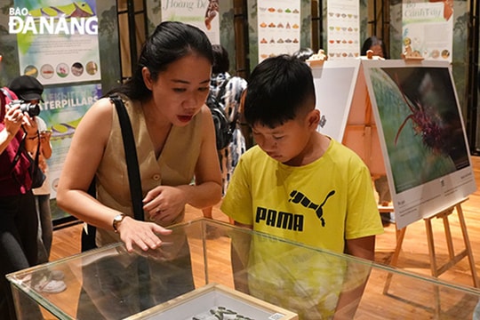 Triển lãm 'Đa dạng sắc màu côn trùng Việt Nam'