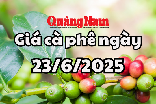 Giá cà phê hôm nay 23/6/2025 3 khu vực cùng giữ đỉnh 96.000 đồng/kg