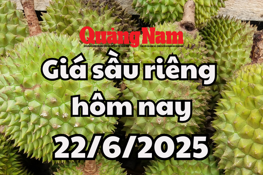 Giá sầu riêng hôm nay 22/6/2025: Đắk Lắk gặp khó khăn ở mùa thu hoạch