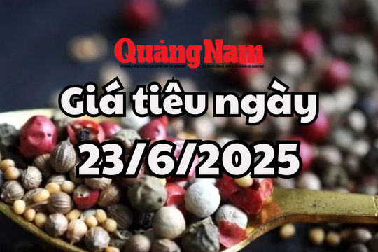 Giá tiêu hôm nay 23/6/2025 mức giá 125.000 đồng/kg vẫn là cao nhất