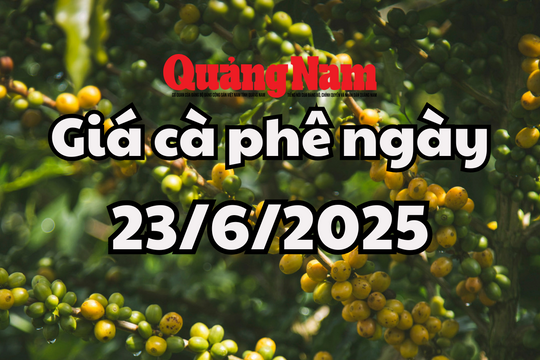 Tin tức, dự báo giá cà phê ngày mai 23/6/2025 chờ tín hiệu cải thiện