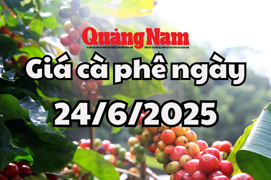 Giá cà phê hôm nay 24/6/2025 đang tìm lại thế cân bằng trên thị trường
