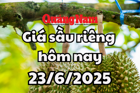Giá sầu riêng hôm nay 23/6/2025: Giảm đồng loạt trên toàn khu vực