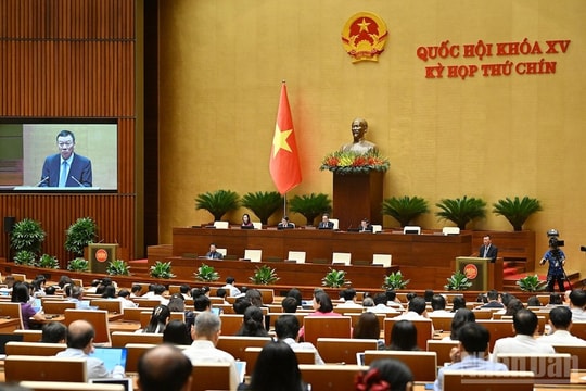 Hệ thống cơ quan thanh tra được tổ chức theo 2 cấp