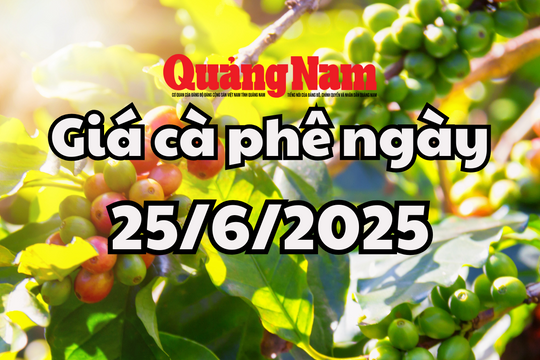 Giá cà phê hôm nay 25/6/2025 lao "bung nóc" qua mốc 100.000 đồng/kg