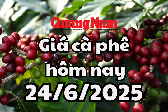 Giá cà phê tăng kịch trần sau 2 tuần giảm sâu, hướng tới mốc 100,000 đồng/kg
