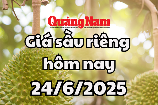 Giá sầu riêng hôm nay 24/6: Musang King giữ đỉnh 125.000 đồng/kg, sầu Thái hồi phục lại