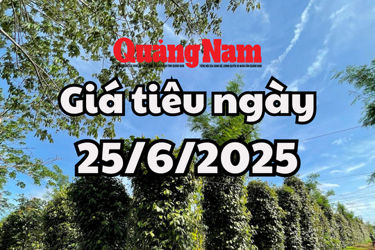 Giá tiêu hôm nay 25/6/2025 đang ở mức đáy thấp nhất trong 12 tháng qua