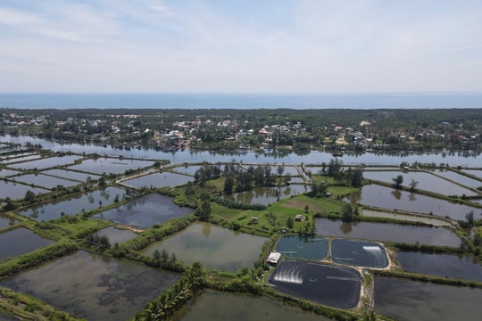 Thông qua 2 đồ án Quy hoạch phân khu xây dựng thuộc Khu kinh tế mở Chu Lai