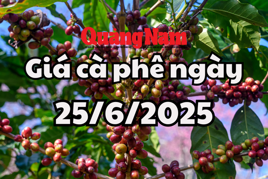 Tin tức, dự báo giá cà phê ngày mai 25/6/2025 phục hồi đỉnh 100.000 đồng/kg theo xu hướng quốc tế