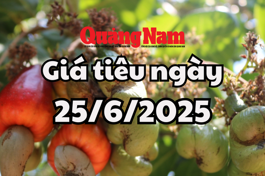 Tin tức, dự báo giá tiêu ngày mai 25/6/2025 không giữ được đỉnh 125.000 đồng/kg