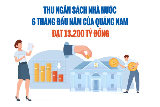 Thu ngân sách nhà nước 6 tháng đầu năm của Quảng Nam đạt 13.200 tỷ đồng