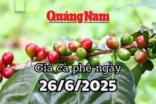 Giá cà phê hôm nay 26/6/2025: Vỡ đáy bởi nguồn cung toàn cầu dồi dào