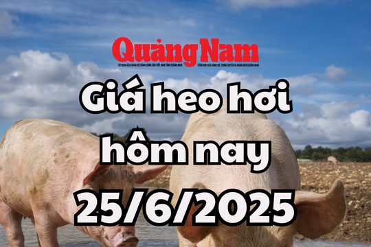 Giá heo hơi hôm nay 25/6/2025 miền Nam vẫn nóng ở đỉnh 73.000 đồng/kg