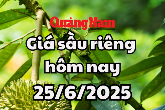Giá sầu riêng hôm nay 25/6/2025: Ri6 hạ giá, Thái VIP vung tay đội giá cao