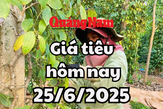 Giá tiêu nội địa quay lại cuộc chơi, tăng bật nóc, thoát khỏi mức giá đáy