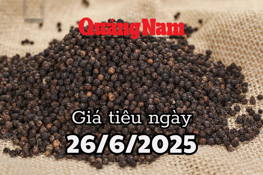 Tin tức, dự báo giá tiêu ngày mai 26/6/2025 cú hích lớn chưa có để đẩy giá tăng mạnh