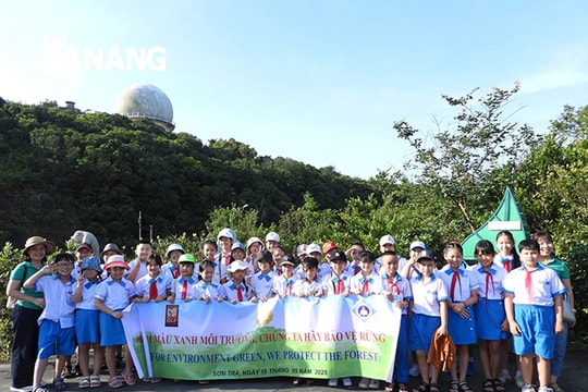 Đà Nẵng tăng cường hoạt động tuyên truyền, giáo dục bảo vệ rừng