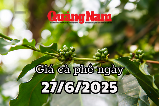 Giá cà phê hôm nay 27/6/2025: Đà hồi phục chậm, thị trường vẫn u ám