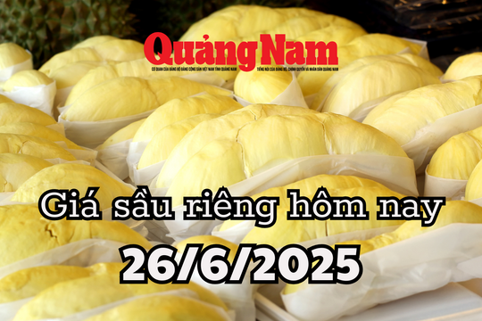 Giá sầu riêng hôm nay 26/6/2025: Tăng vọt gần 9,3 triệu USD với hoạt động nhập khẩu