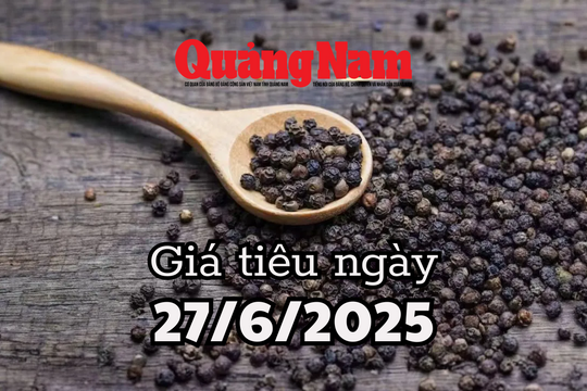 Giá tiêu hôm nay 27/6/2025 lo ngại nguồn cung sụt giảm đẩy giá tăng