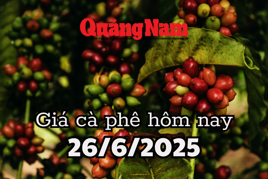 Khủng hoảng giá cà phê, làn sóng đẩy giá xuất khẩu ồ ạt khiến dư thừa toàn cầu
