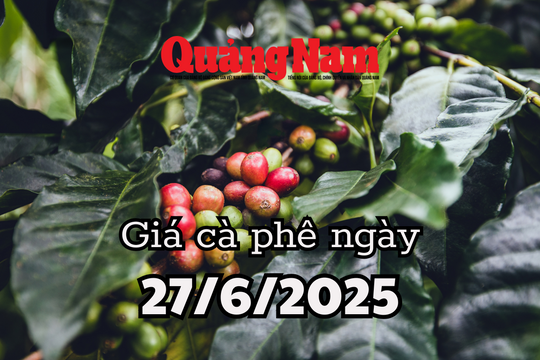 Tin tức, dự báo giá cà phê ngày mai 26/6/2025 ngày càng xa bờ