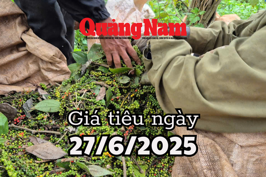 Tin tức, dự báo giá tiêu ngày mai 27/6/2025 vượt rào lên đỉnh 130.000 đồng/kg