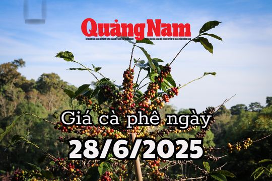 Giá cà phê hôm nay 28/6/2025: Đắk Lắk và Đắk Nông chễm chệ đỉnh giá