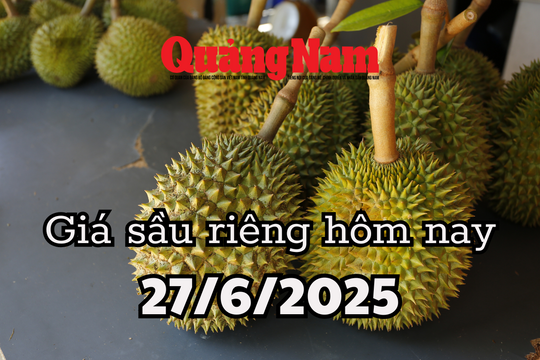 Giá sầu riêng hôm nay 27/6/2025: Sầu riêng Thái đà tăng kéo dài, tăng không ngừng nghỉ