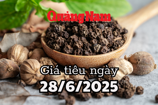 Giá tiêu hôm nay 28/6/2025 Bà Rịa, Đắk Lắk, và Đắk Nông đuổi sát nút