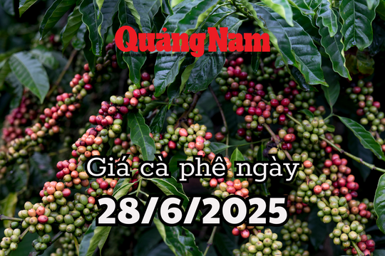 Tin tức, dự báo giá cà phê ngày mai 28/6/2025 lấy lại những gì đã mất