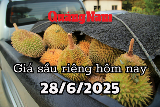 Giá sầu riêng hôm nay 28/6/2025: Đắk Lắk lật ngược thị trường bằng công nghệ mới