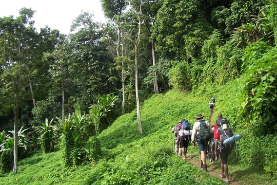 Bảo vệ rừng nguyên sinh tại châu Á