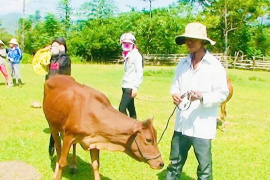 Quế Lâm vượt khó xây dựng nông thôn mới