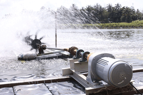 Mua hộp giảm tốc nuôi tôm chính hãng, giá tốt