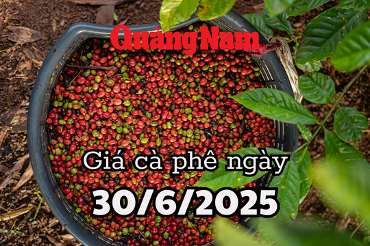 Tin tức, dự báo giá cà phê ngày mai 30/6/2025 thời điểm vàng để quyết định