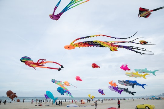 Da Nang - An attractive destination for tourists in summer