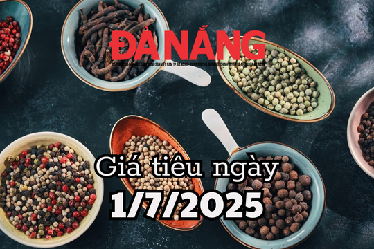 Giá tiêu hôm nay 1/7/2025 Việt Nam làm lung lay chuỗi cung hồ tiêu thế giới