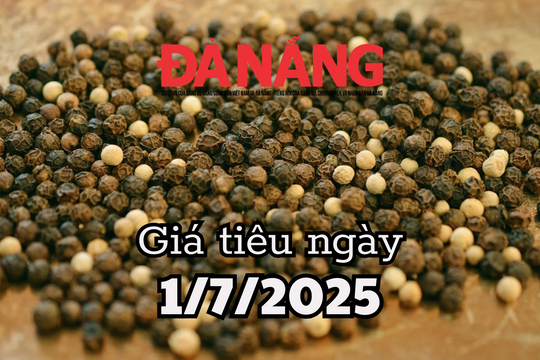 Tin tức, dự báo giá tiêu ngày mai 1/7/2025 xuyên thủng trần, đạt 140,000 đồng/kg
